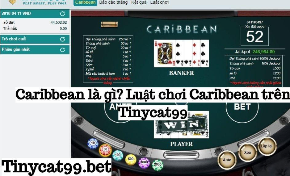 cách chơi caribbean, cach choi caribbean, caribbean tinycat99, caribbean poker tinycat99