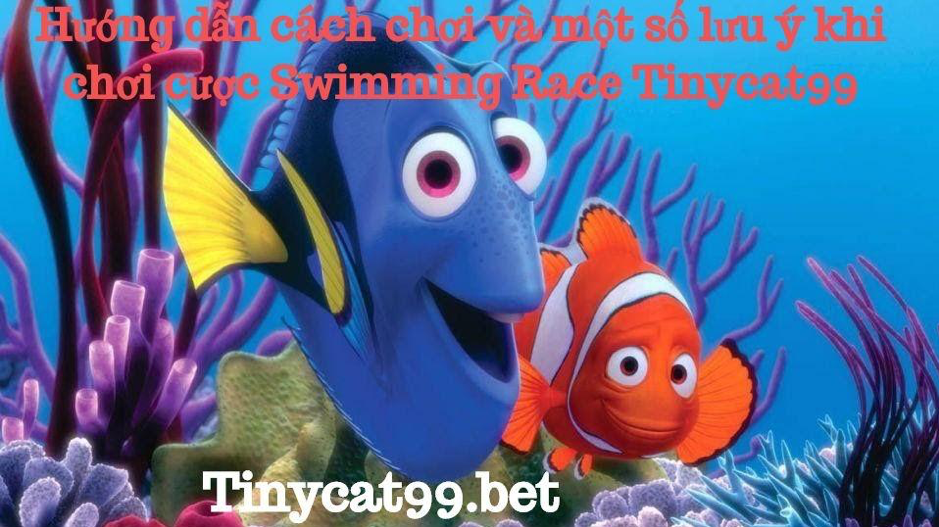 Swimming Race Tinycat99