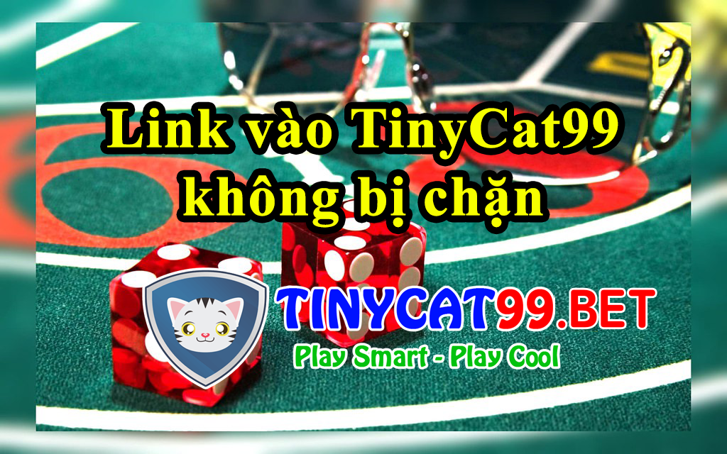 link vào Tinycat99